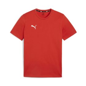 Puma teamGOAL póló